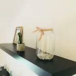 Apartment Govic