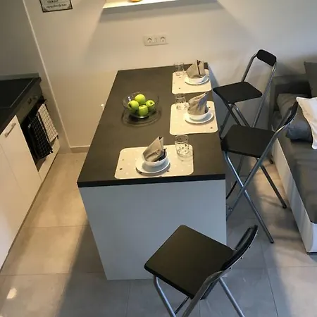 Apartment Govic